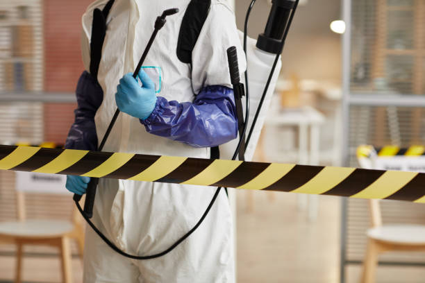 Professional Odor Removal technician working in Crosby, TX